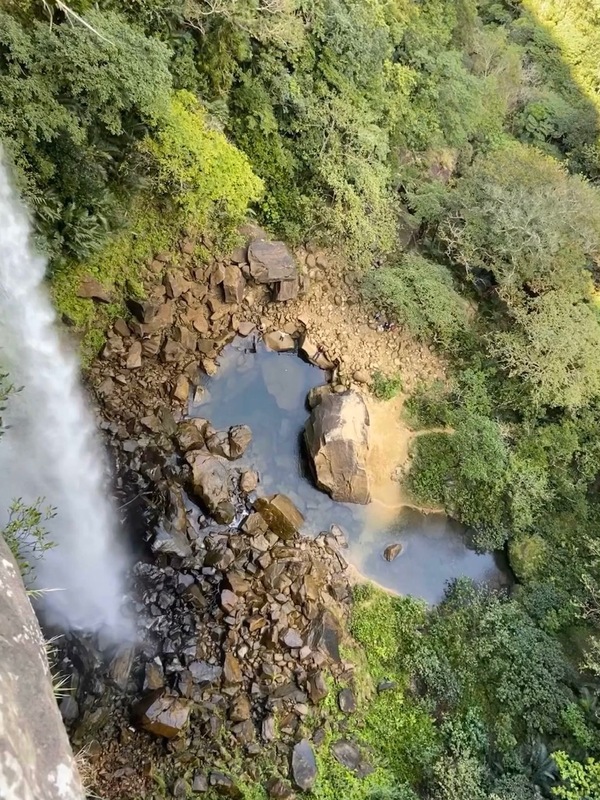 沖縄島北部・西表島　世界自然遺産に登録！