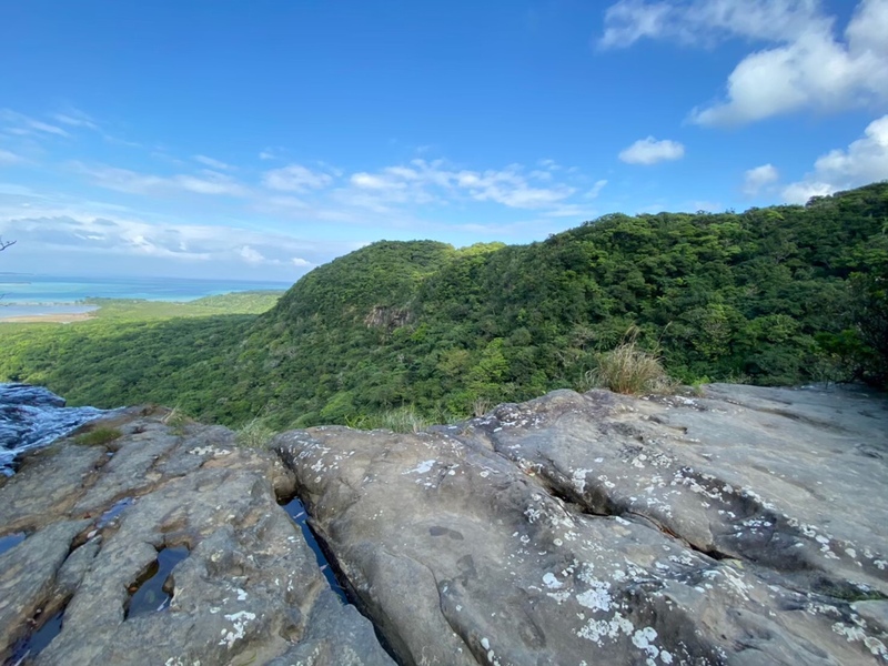 沖縄島北部・西表島　世界自然遺産に登録！