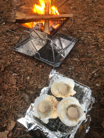 本栖湖キャンプ場