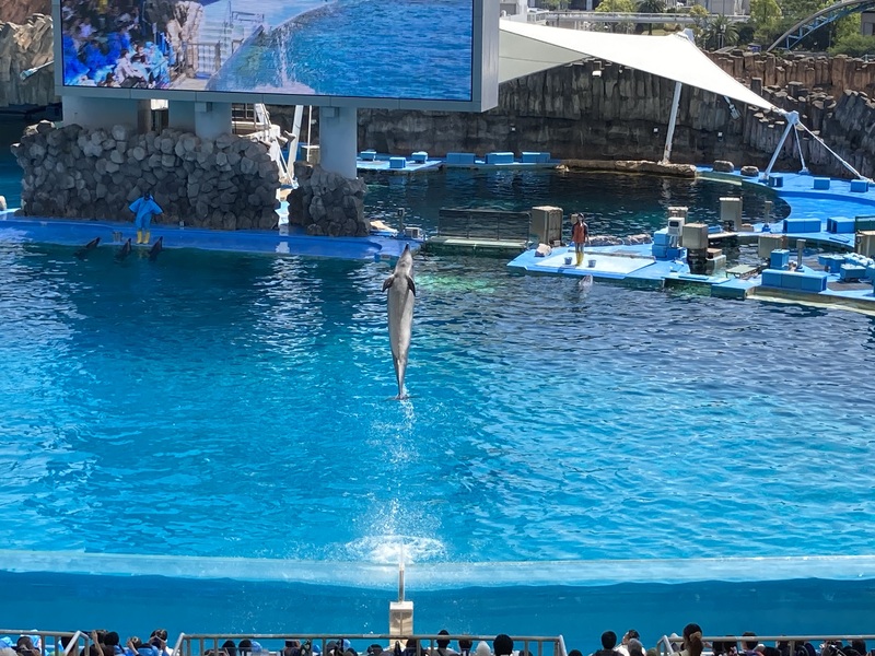  名古屋 港水族館