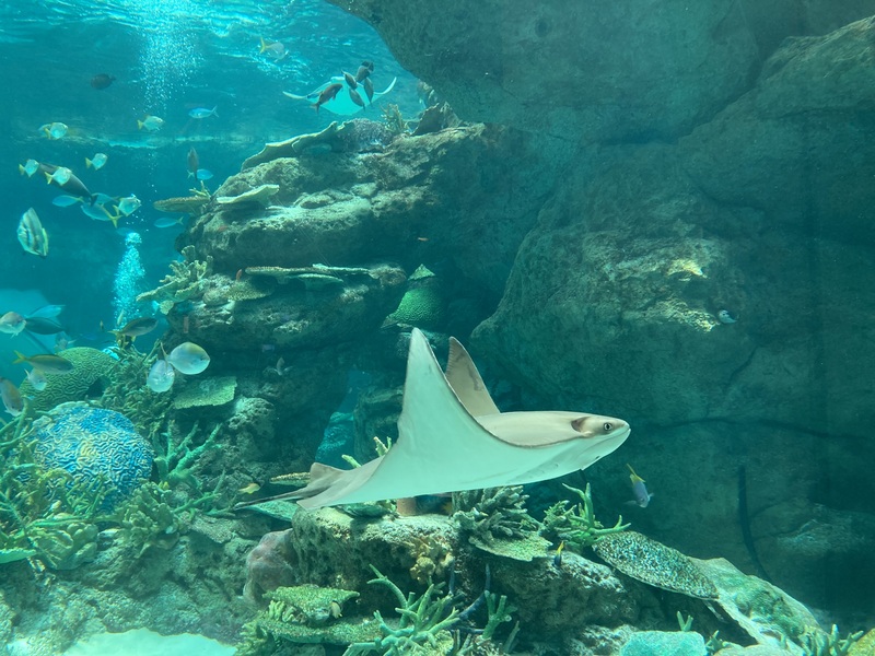 名古屋港水族館