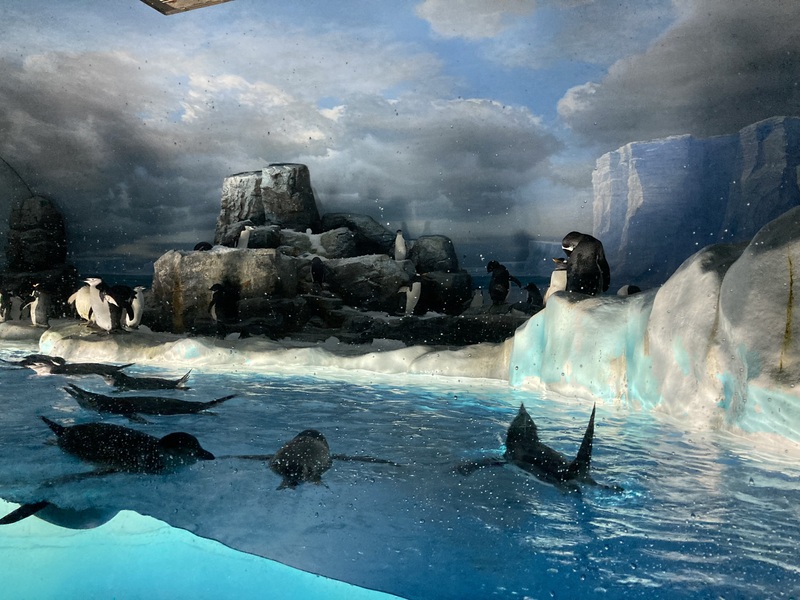  名古屋 港水族館