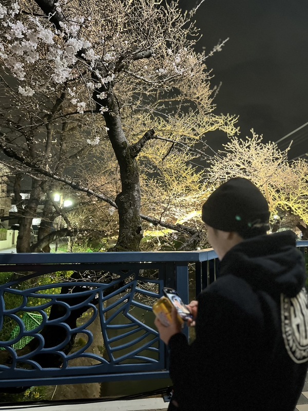  岩倉市 の桜祭りに行ってきました！