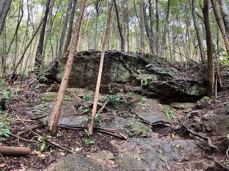  岐阜 のグランドキャニオン　遠見山