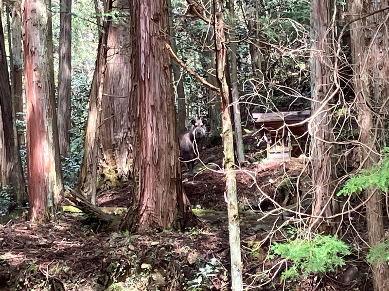  岐阜 のグランドキャニオン　遠見山